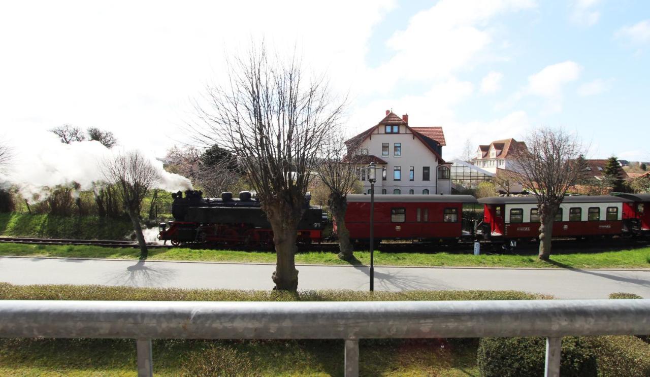 Ferienwohnung Am Molli Nr. 1 Ostseebad Kühlungsborn 外观 照片